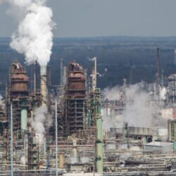 {{brizy_dc_image_alt entityId=