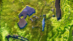 Aerial,Shot,Of,Marshland,Around,The,Mullica,River,Delta,In